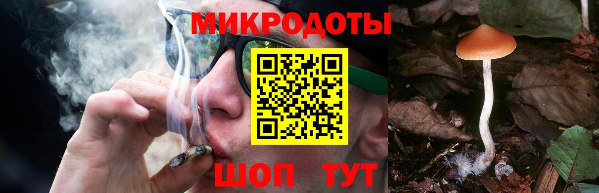 Галлюциногенные грибы мухоморы Кыштым